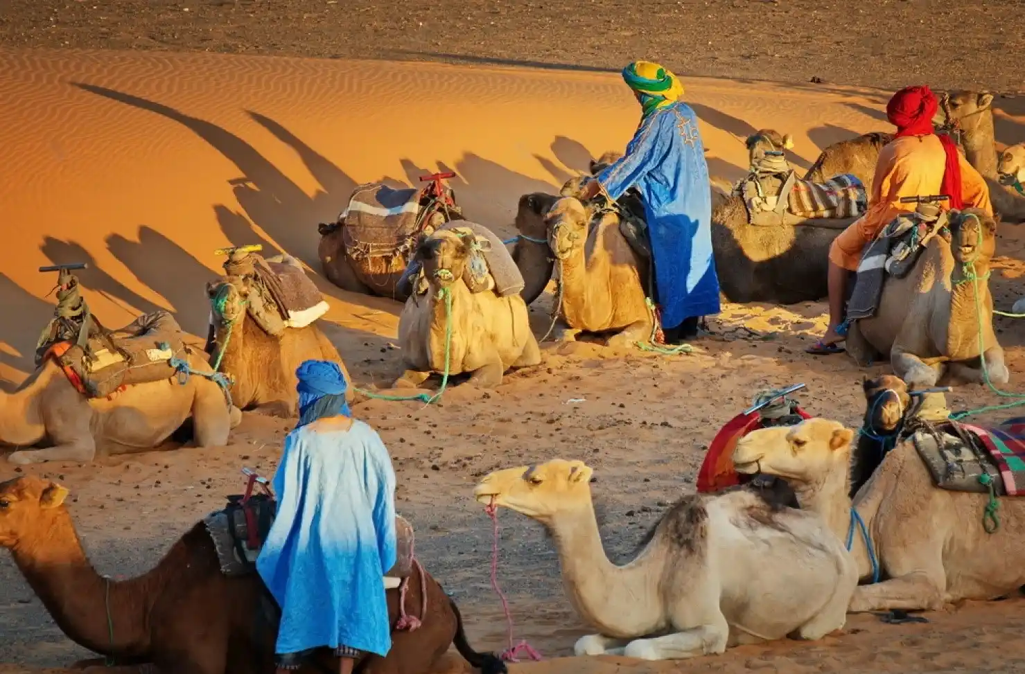 Visit sahara desert in two weeks in Morocco Visit-sahara-desert-in-two-weeks-in-Morocco.webp