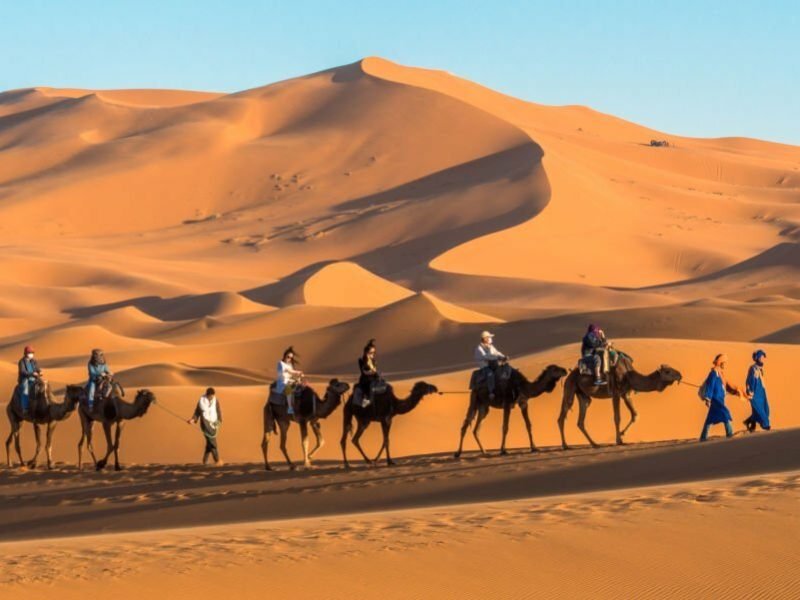 Merzouga / Morocco - March 26th, 2018: A touristic caravan of camels at the Erg Chebbi dunes in the Sahara at sunset