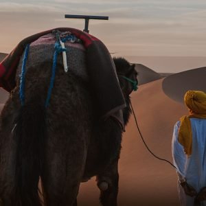 marrakech